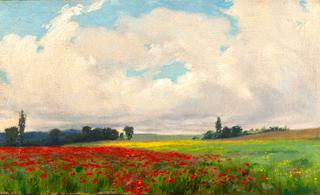 A French Poppy Field