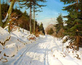 Frederiksdal Forest