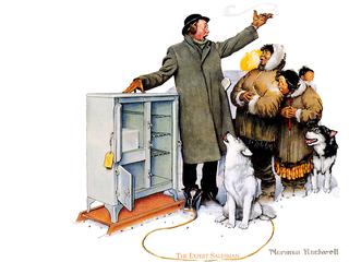 The Expert Salesman