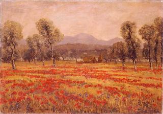 Poppy Field