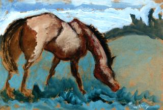 Horse at Pasture