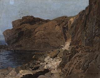 Nordic rocky coast and seabirds