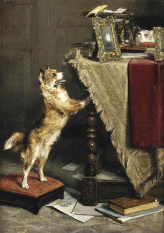 l'oiseau envole