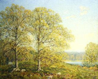 Spring Landscape