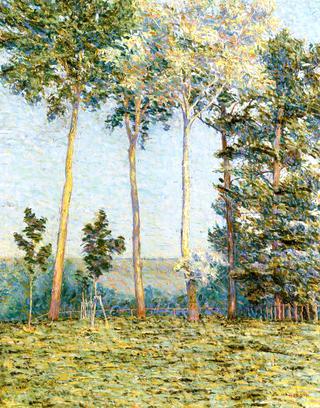 Landscape with Large Trees