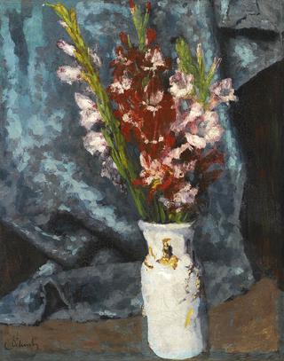 Gladioli