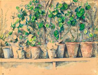 Flower pots