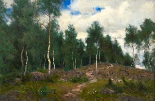 Birch Grove