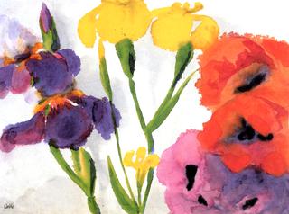 Irises and Poppies