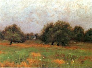 The Orchard