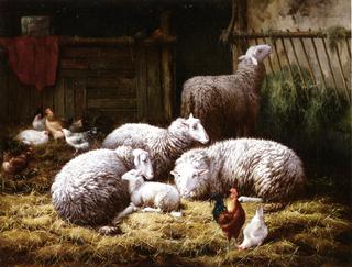 Sheep, Roosters and Chickens in a Barn