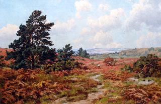 The Bracken Collectors on Fittleworth Common, Sussex