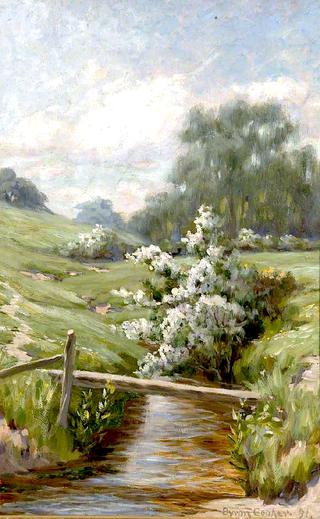 Stream through Countryside