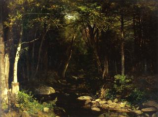 Woodland Stream