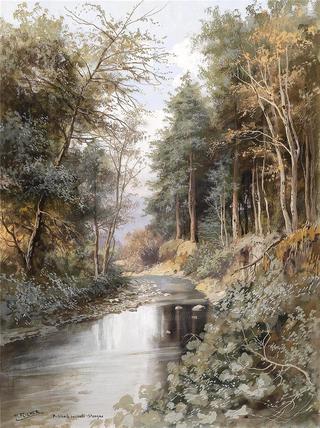 Stream in Sulz-Stangau