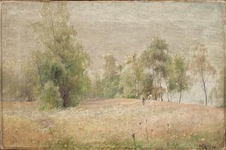 Summer Meadow