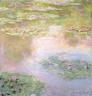 Water Lilies