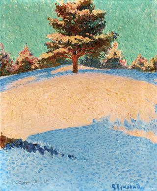 Winter landscape with sunlit pine