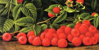 Raspberries