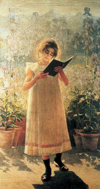Blue Book (outdoor version)