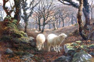 Sheep on a Wooded Hillside