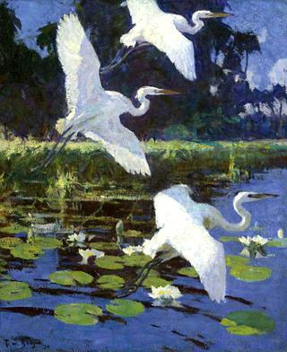 Herons and Lilies