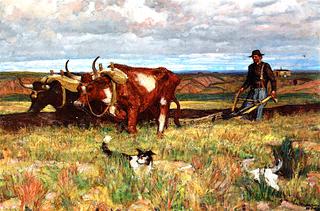 Buffalo Bones are Plowed Under
