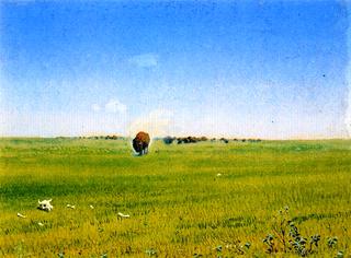 North Western Prairie with Buffalo No. 7