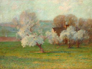 Spring Landscape