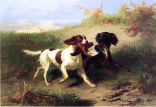 Two Spaniels in a Landscape