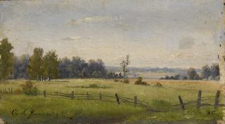 Summer Landscape