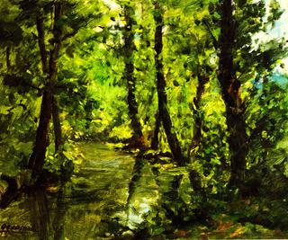 The River Vevera in Oleggio