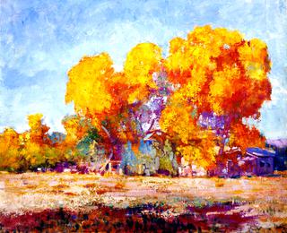 Ranch in Sycamores