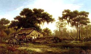 View of Louisiana