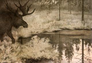 I Came to the Secret Springs and Lakes Where Mooses Slake Their Thurst