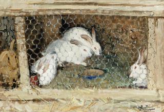 The Rabbits