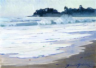 Surf on the Serena Beach