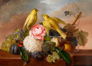 Flowers and Birds