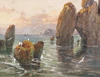 Rocky Coast