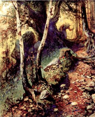 Hunting Mushrooms in the Old Forest