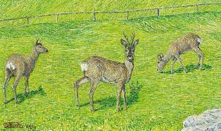 Three Deer in the Field