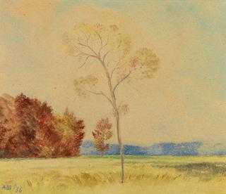 Landscape with Tree