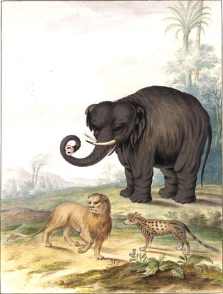 An Asian Elephant, a Lion and a Civet Cat in a Landscape