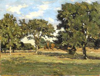 Untitled (French Pasture with Trees)