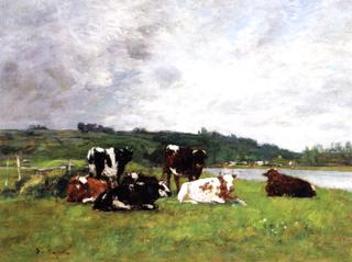 Cows at Pasture