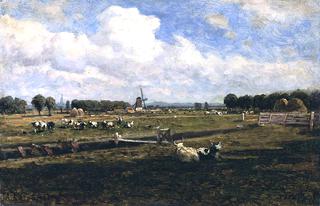 The Outskirts of the Hague