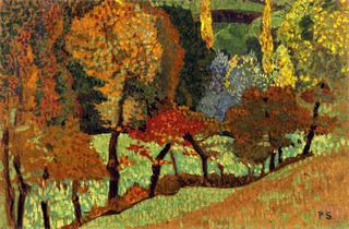Trees along a Creek