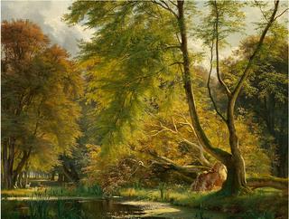 A Forest Scene with Deer