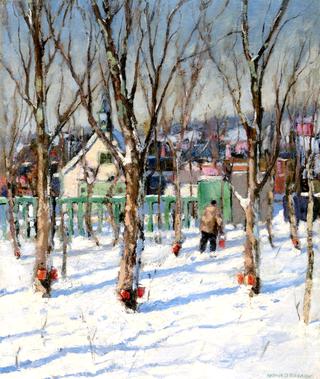 Winter, Sap Buckets, Quebec