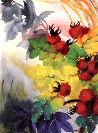 Ripe Rose Hips